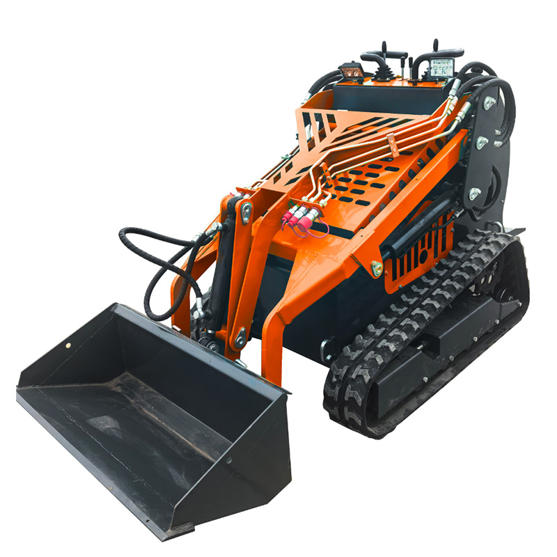 Mini Loader RS300-3